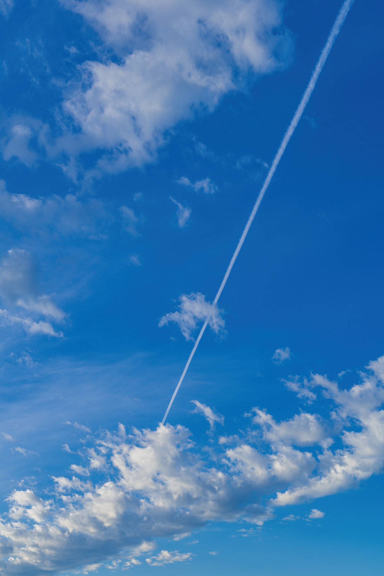 Dreaming of Up There