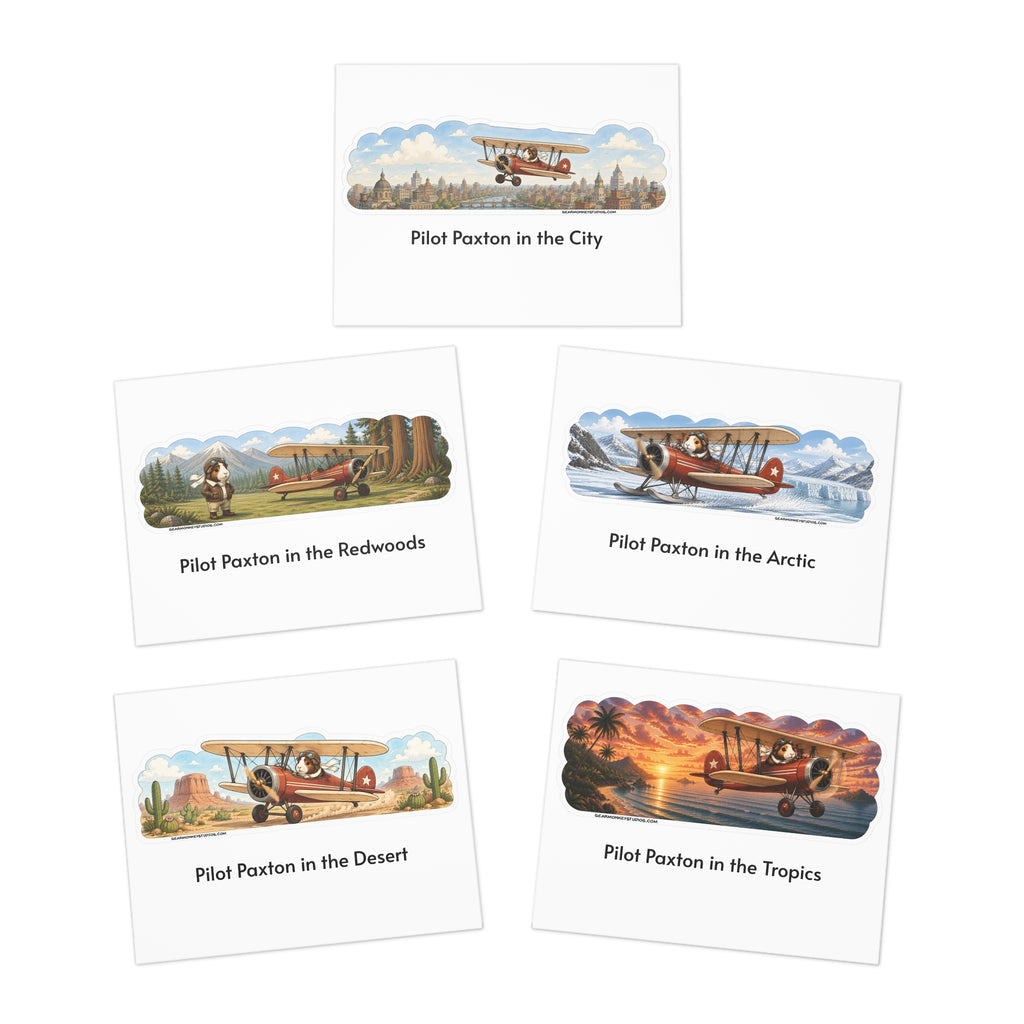 Pilot Paxton Blank Note Cards — 5-Pack of cards following Pilot Paxton's airborne adventures!