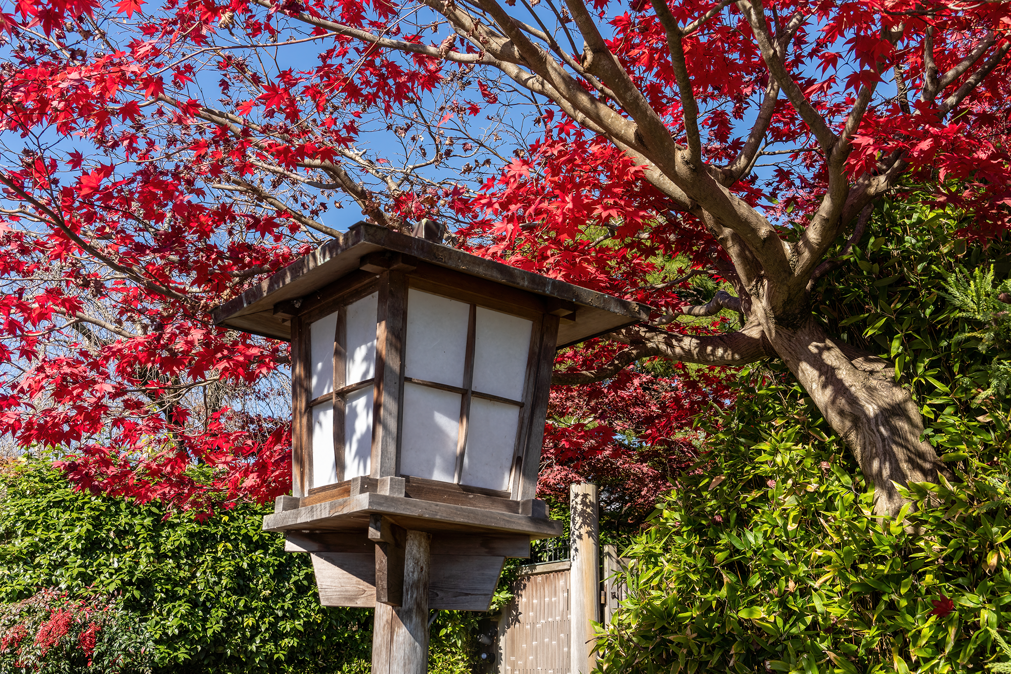 Guiding Light