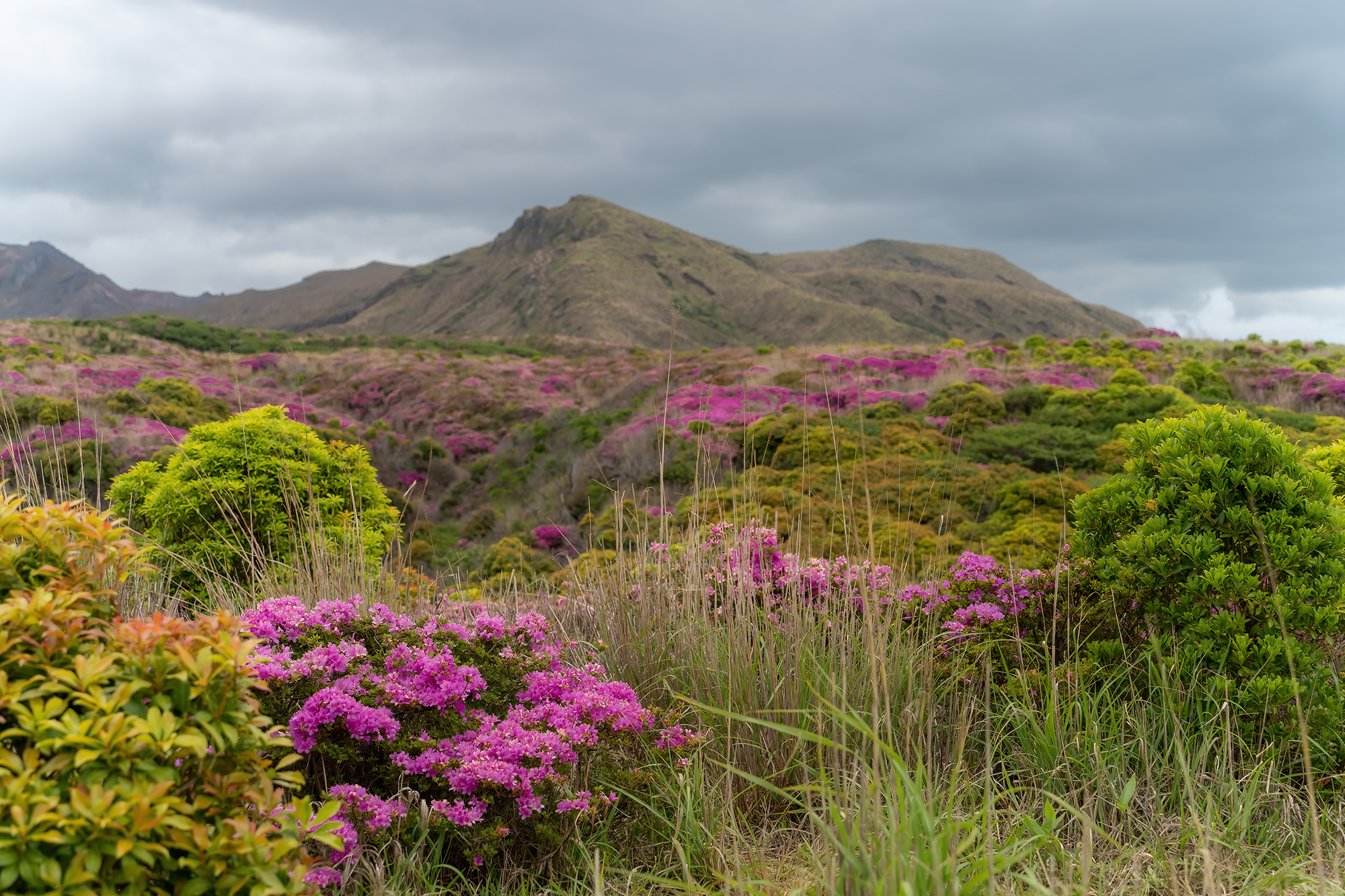 Mountain Color