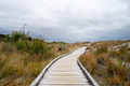 The Path