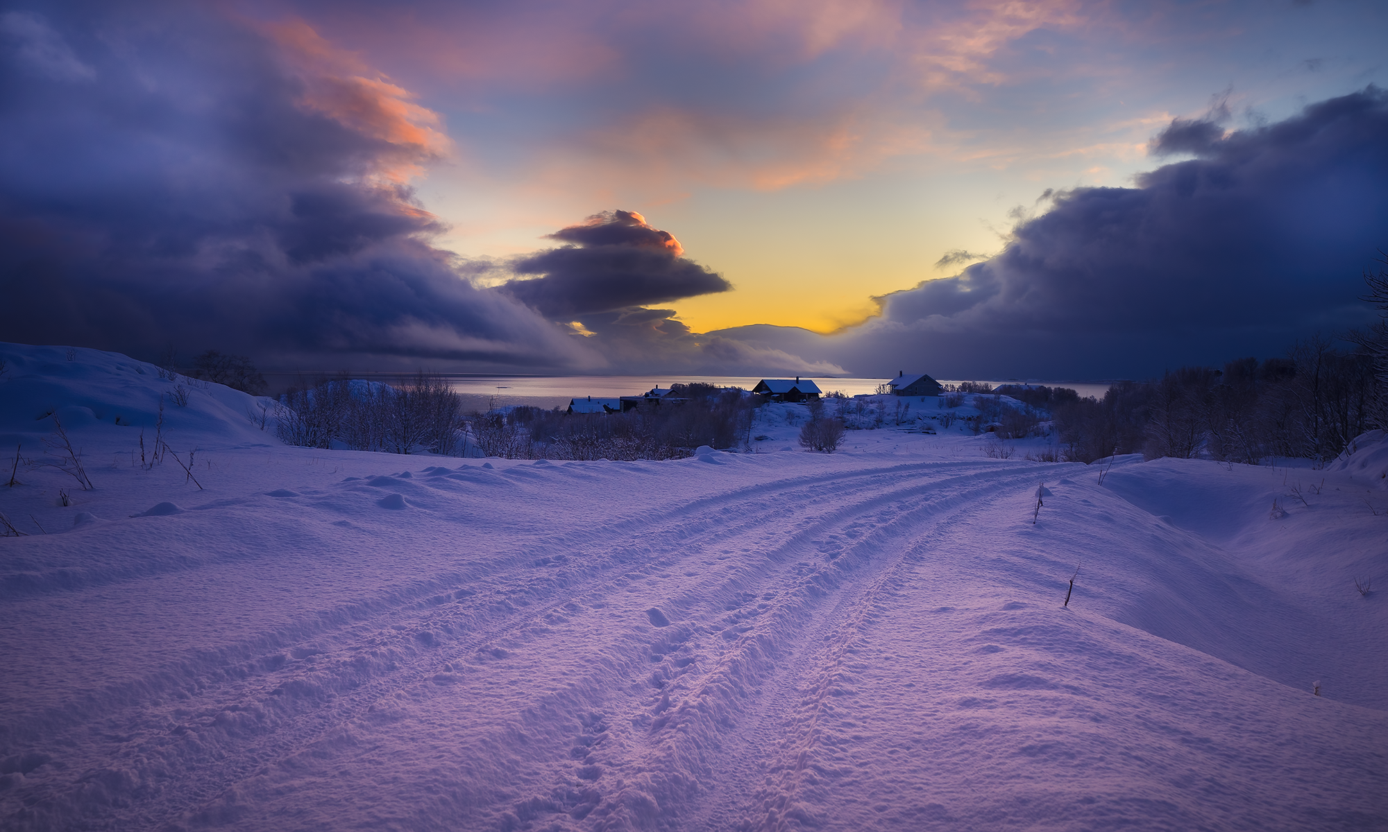 Purple Hour
