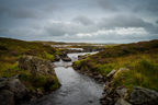 The Stream