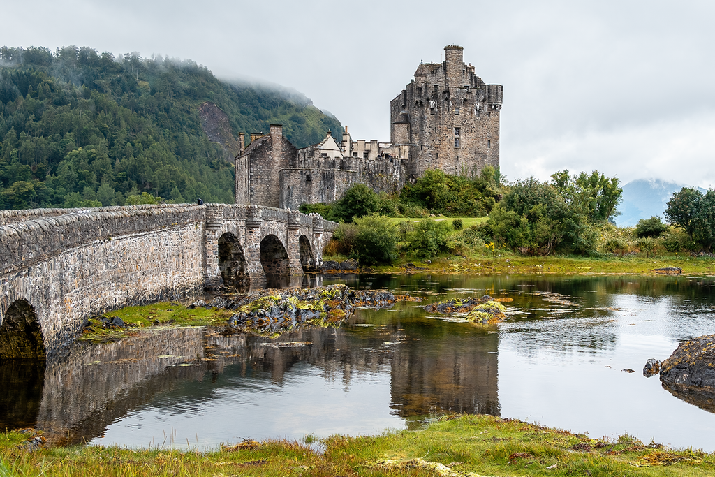 The Castle