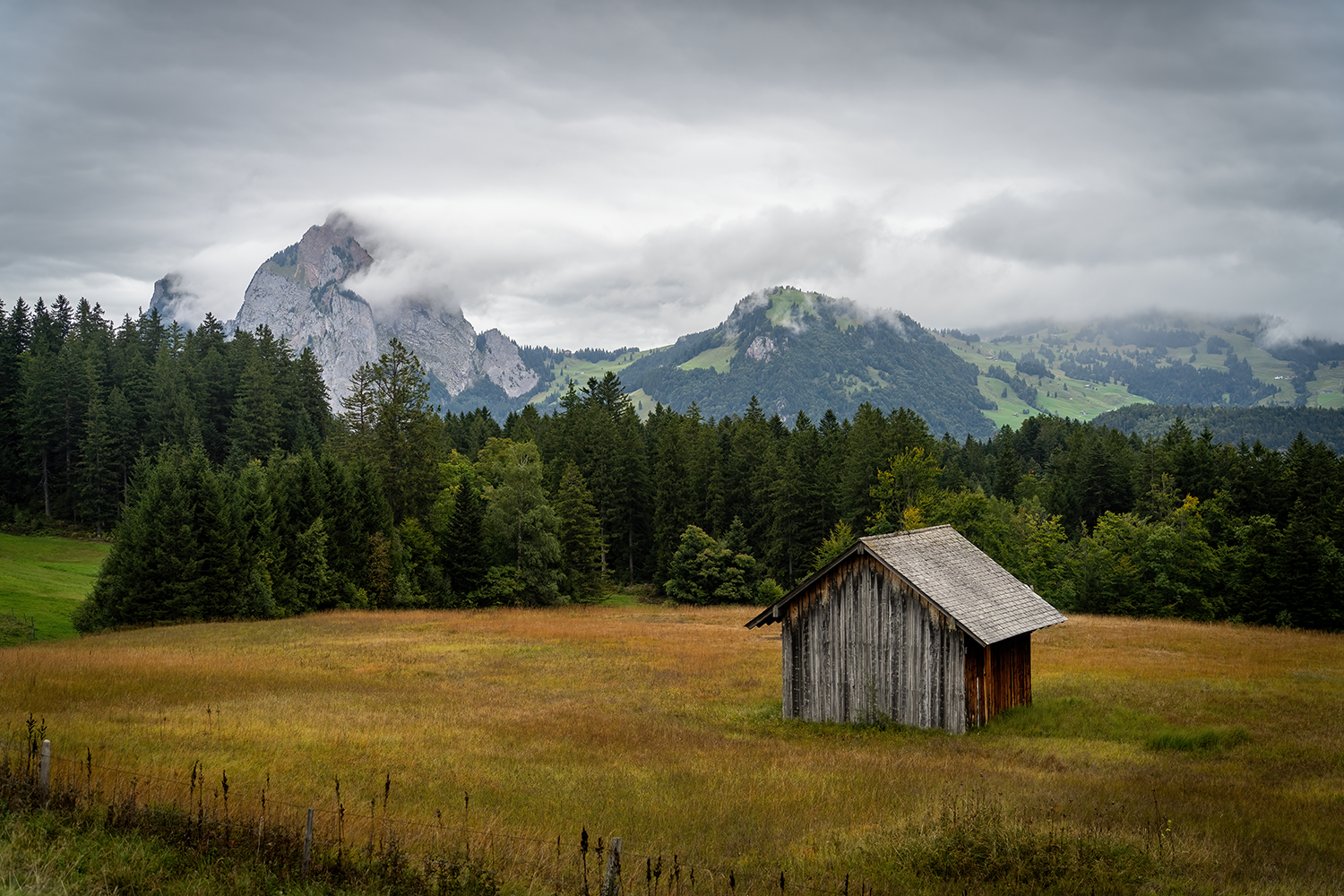 The Shed