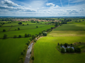 Green Fields II