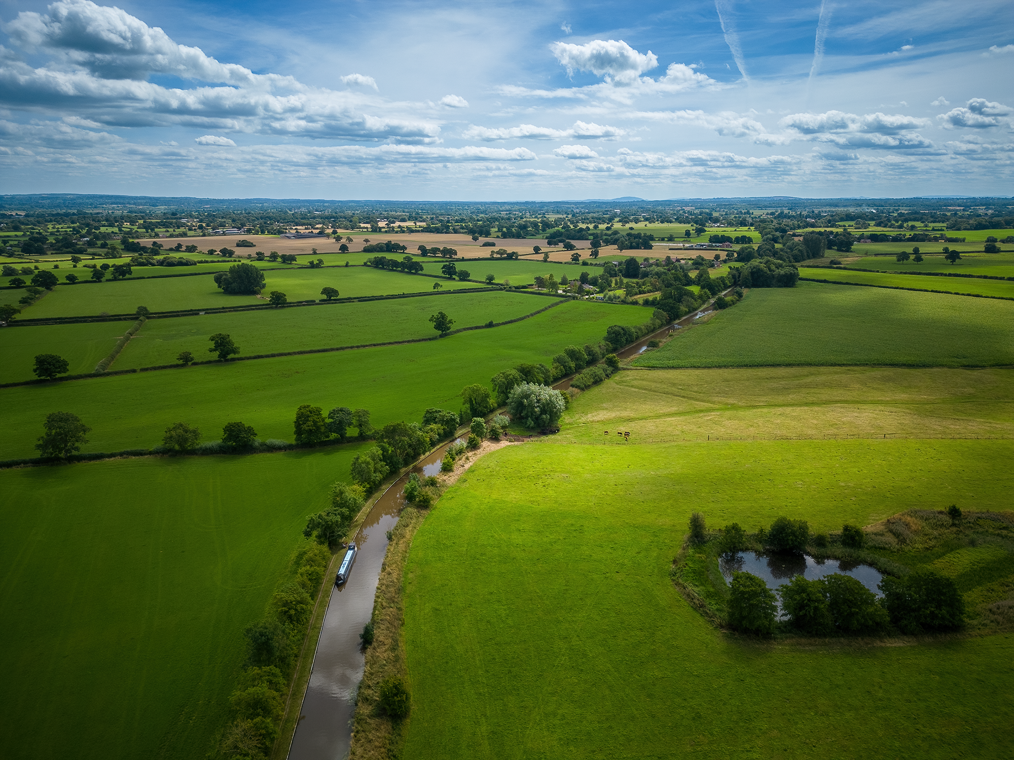 Green Fields II