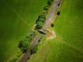 Green Fields I