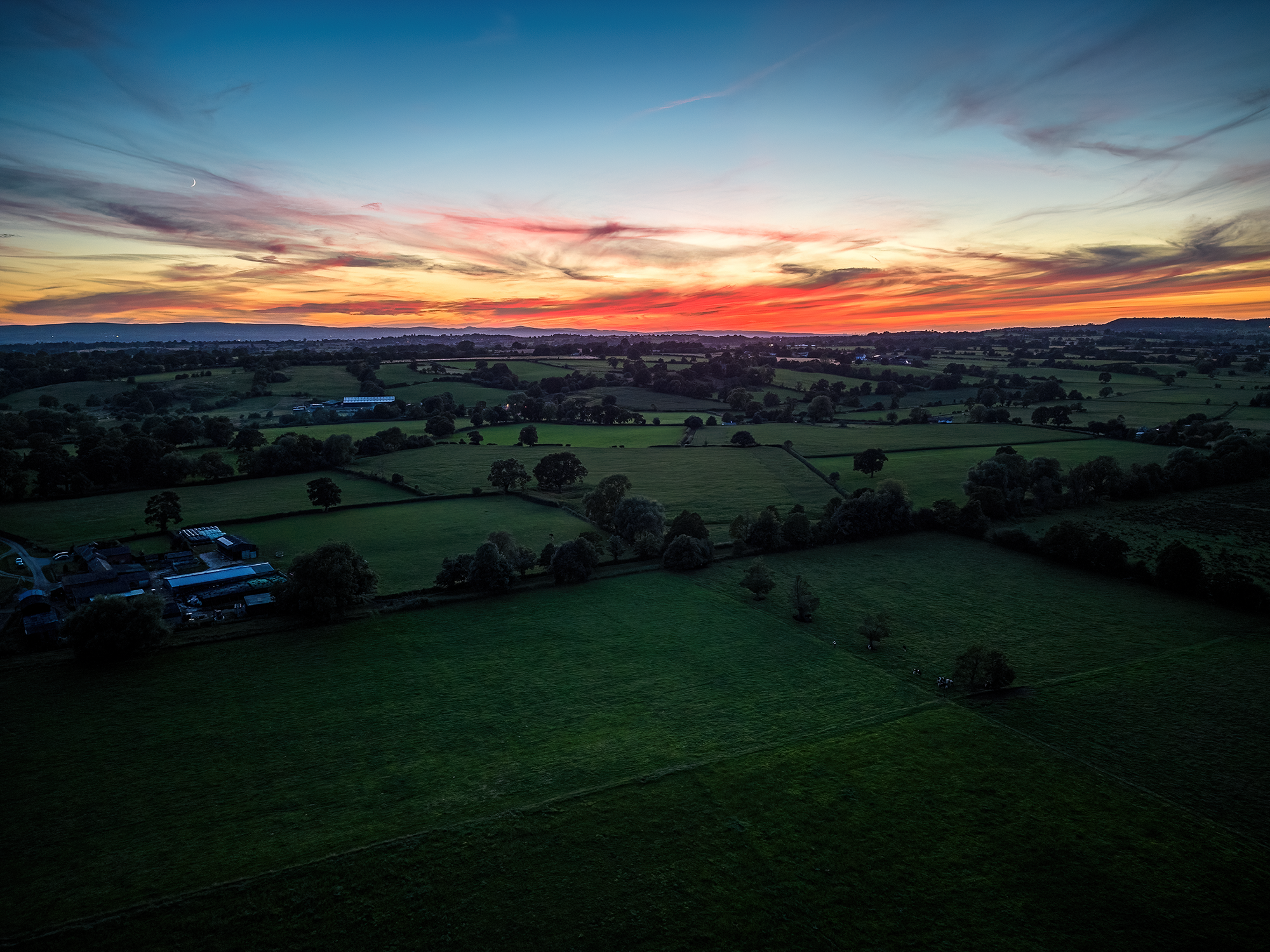 Green Fields III