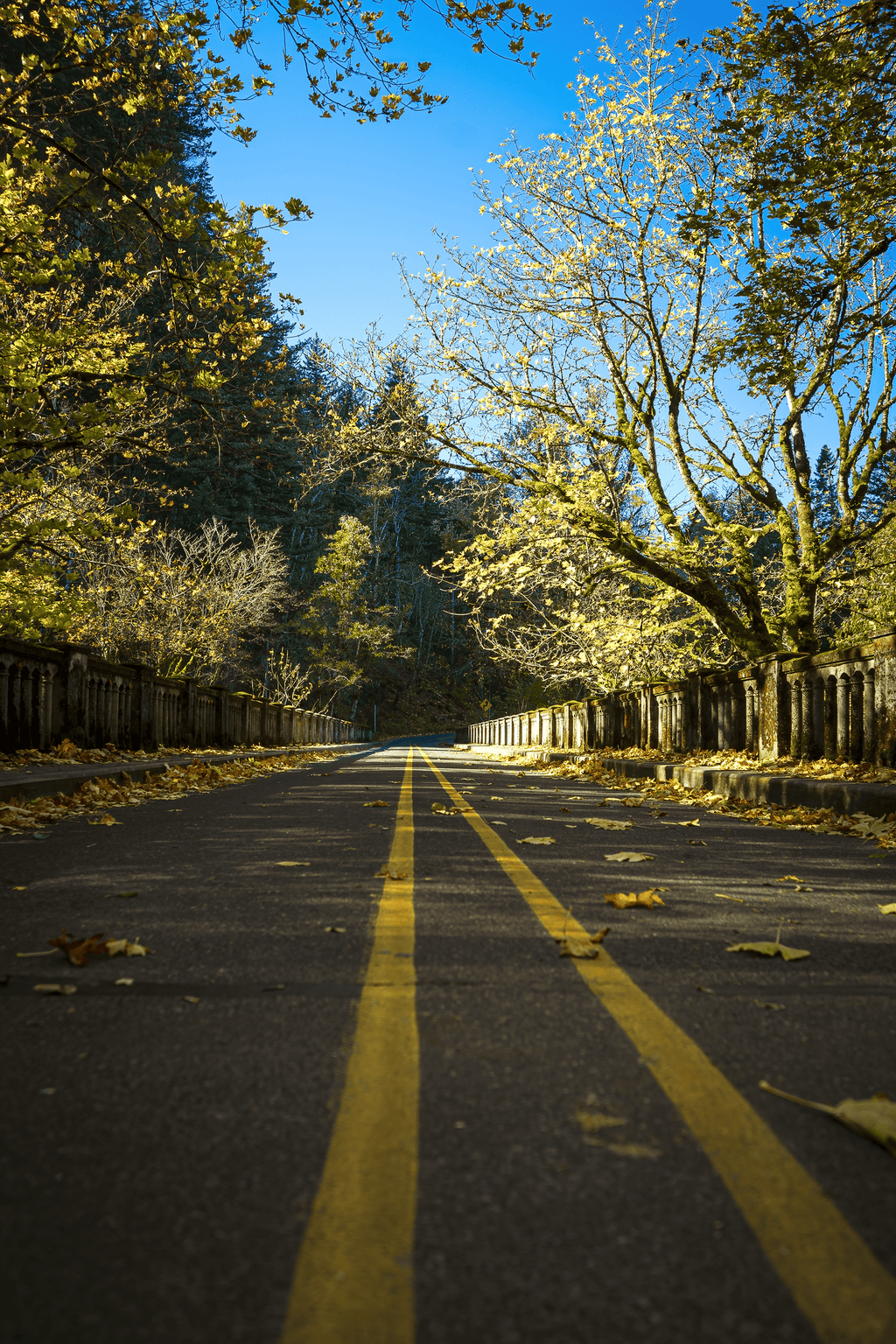 Fall Bridge