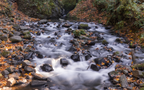 Fall Streams
