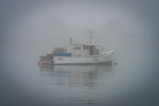 Foggy Apparition