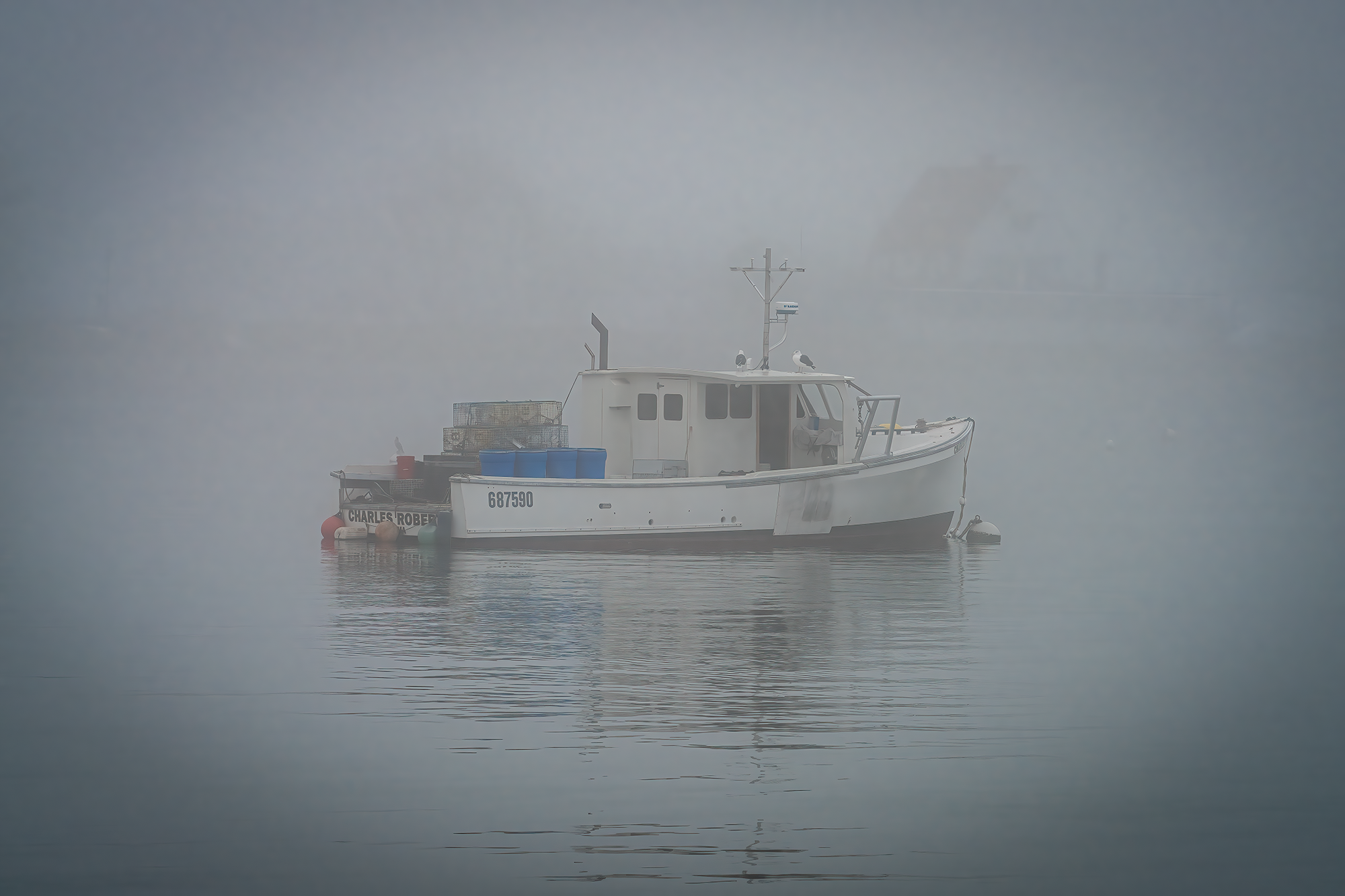 Foggy Apparition