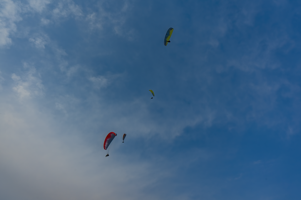 Soar!